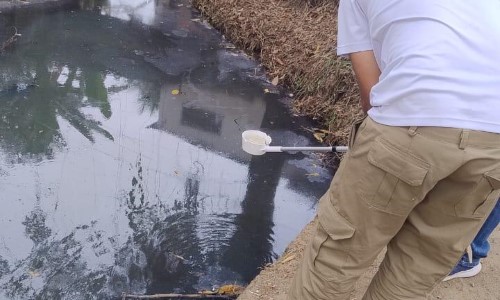Barra Mansa testa novo larvicida para controle de mosquitos em áreas com água parada